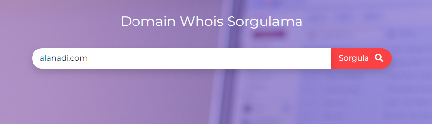 domain-sorgula
